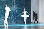 swan-lake-06