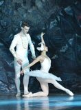 swan-lake-07