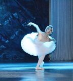 swan-lake-02