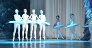 swan-lake-05