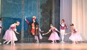 swan-lake-10