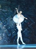 swan-lake-04