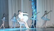 swan-lake-03