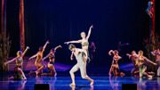 IMG_4240-1024x576.jpg